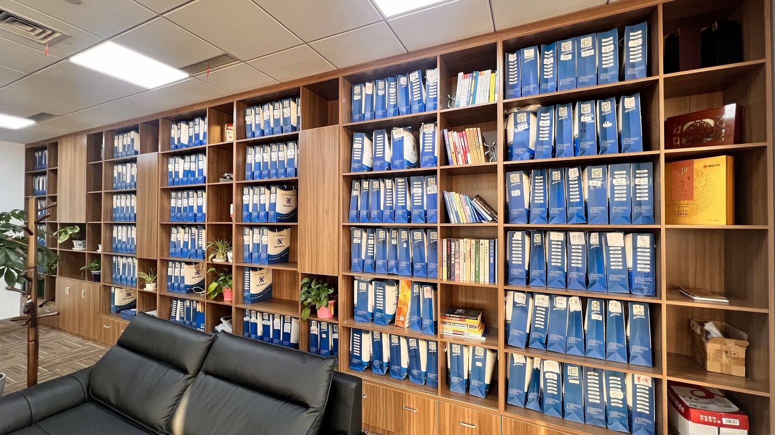 许可经营项目在经营范围中如何体现？  