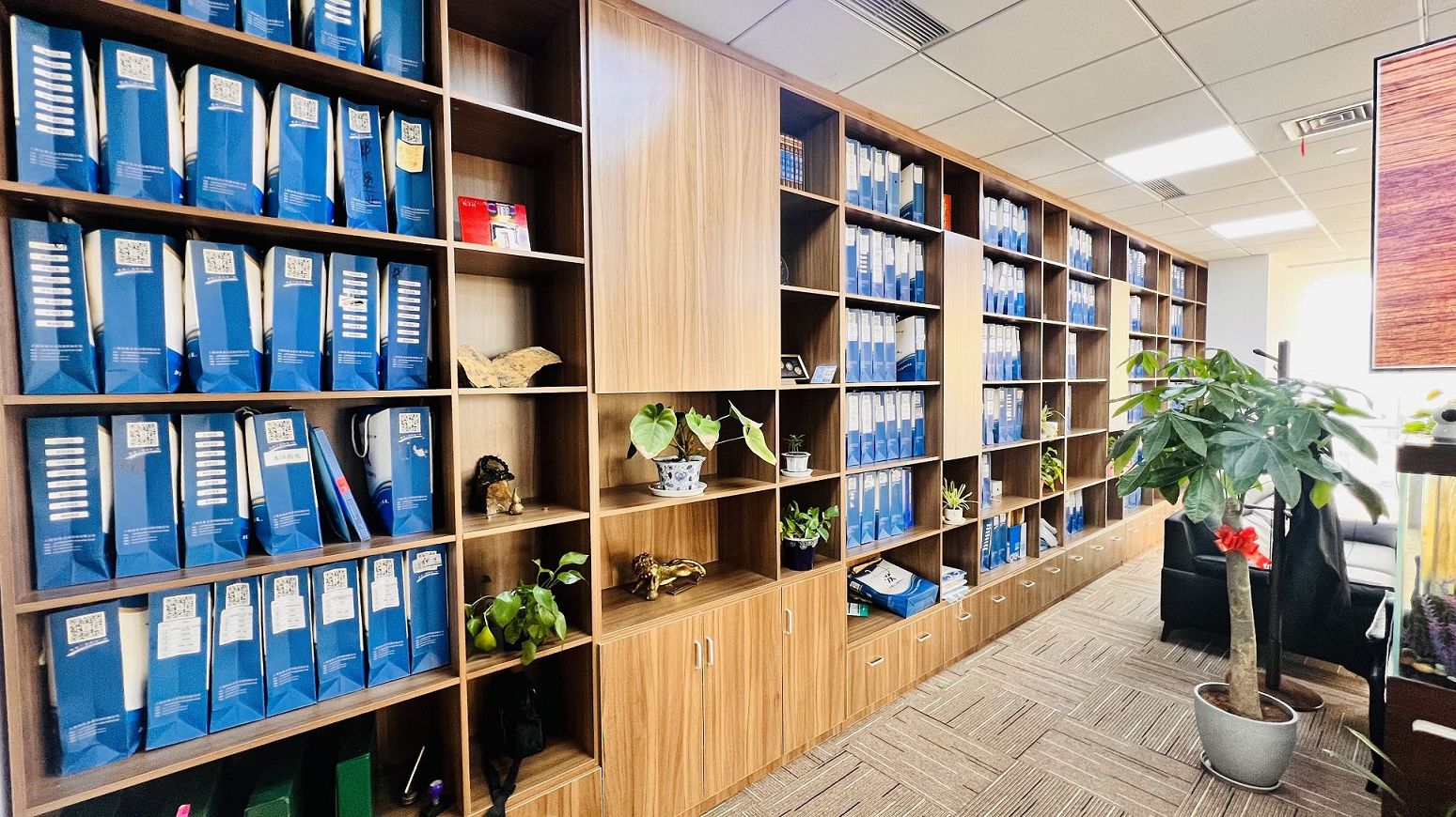 公司银行账户年审需注意的问题  