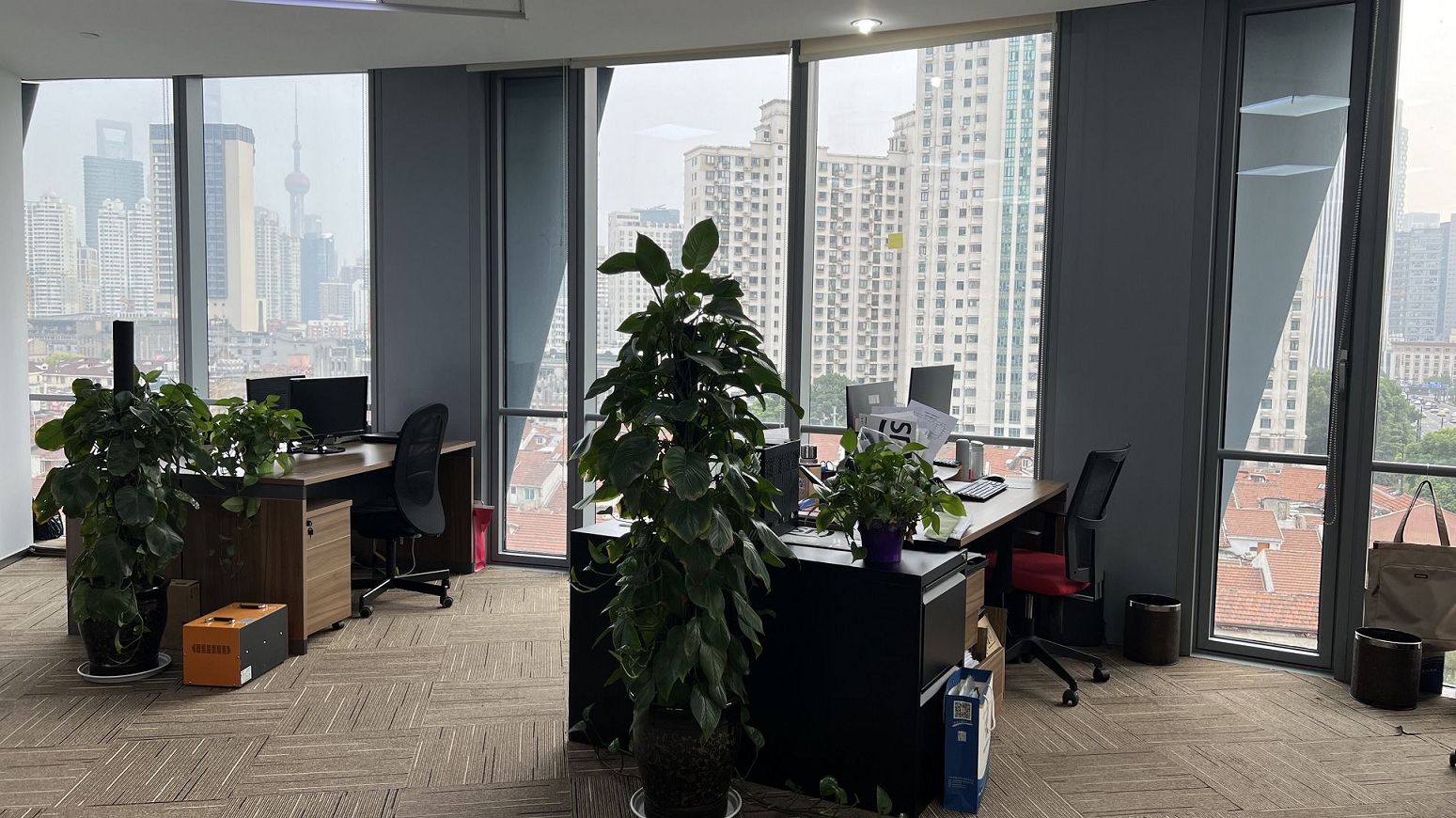 分公司与总公司是什么法律从属关系？